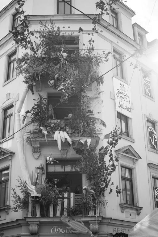 Mirabelle - Wohnen In Der Dresdner Neustadt Dresden Eksteriør billede